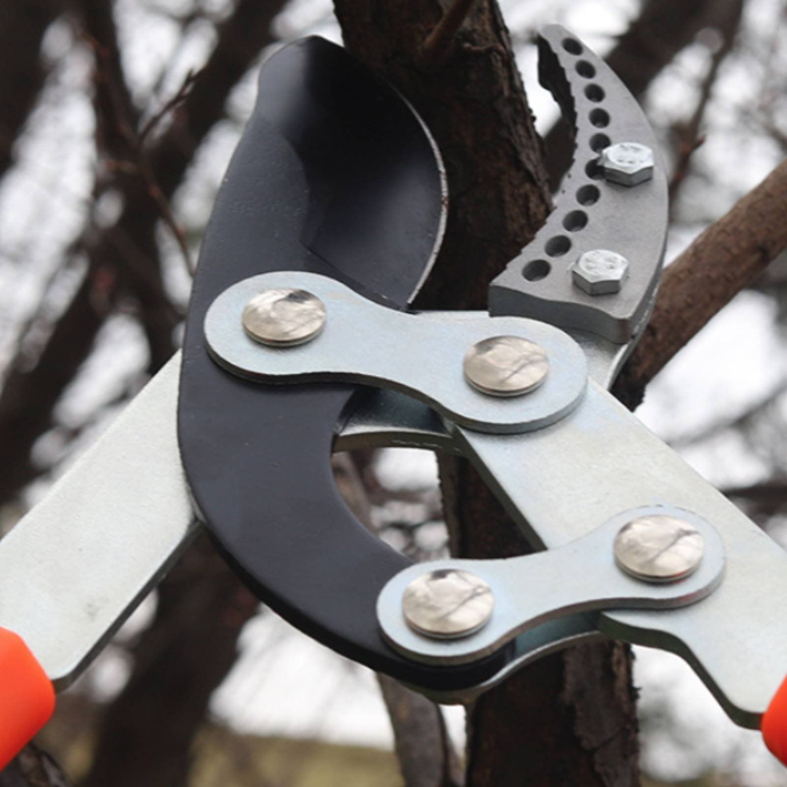 Garden Tools - Podadores de Galhos Telescópicos com Lâmina